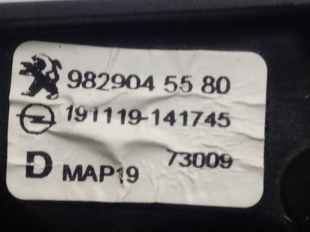 Comprar 9829045580 Peugeot/Citroen Bomba de vacío