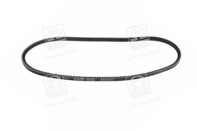 Correa de alternador 10A1050C Dayco