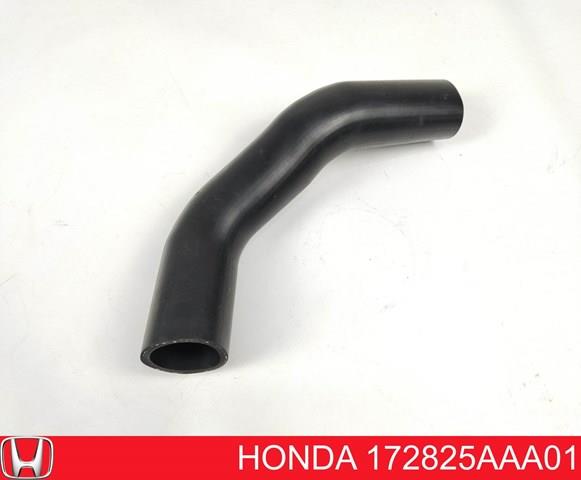 172825AAA01 Honda