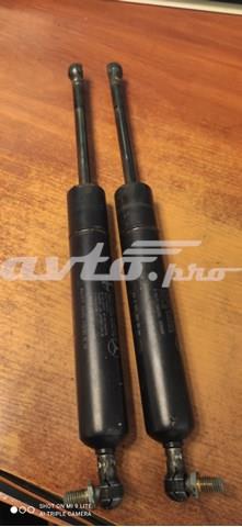 A0019808064 Mercedes Amortiguador de porton