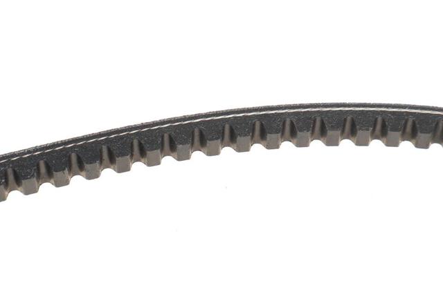 Correa de alternador 13A1015C Dayco
