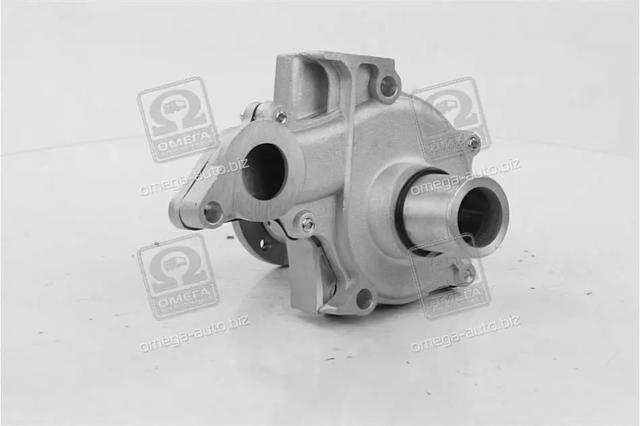 Motor de agua, completo con caja Rider RD150165000