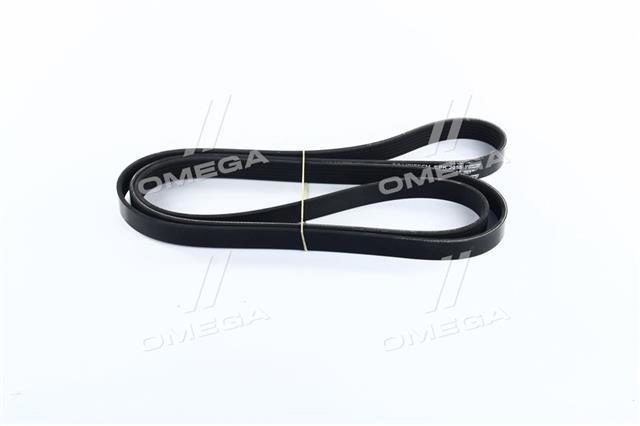 Correa de transmisión trapezoidal Continental/Siemens 6PK2055 precio, desde 39,85 EUR