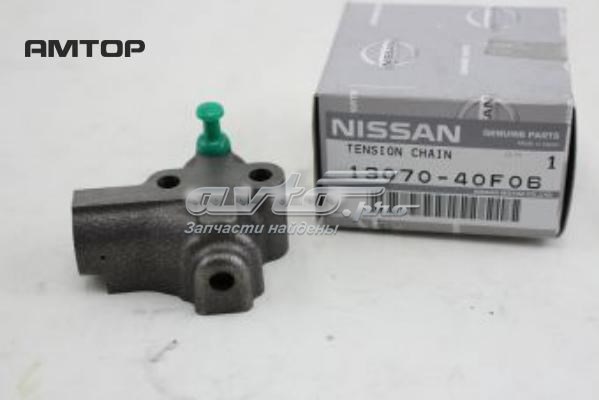 1307040F06 NIPPON MOTORS tensor, cadena de distribución