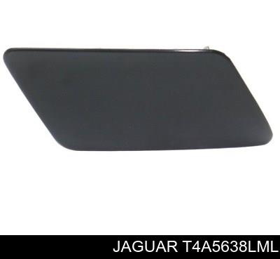 T4A5638LML Jaguar