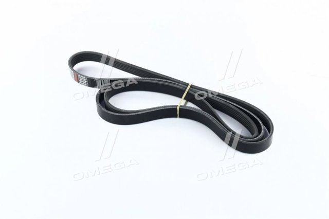 Correa accesorios Dongil 6PK2120
