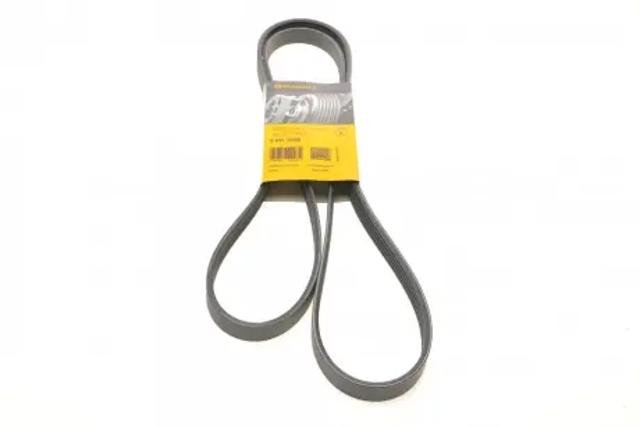 Correa de alternador 5PK1850 Continental/Siemens