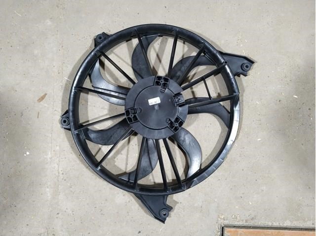 314023W1 Polcar Electroventilador del motor