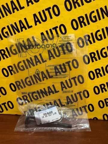 Comprar 132025724R Renault (RVI) Válvula escape