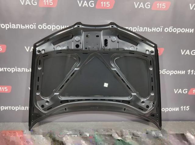 Capó del motor FPS FP6202280 precio, desde 194,34 EUR