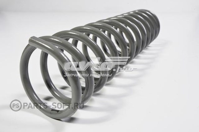 21100291271210 Lada Muelle trasero