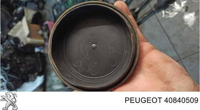 40840509 Peugeot/Citroen Luz derecha