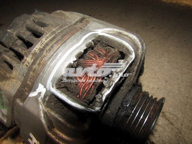 0124425010 Opel alternador