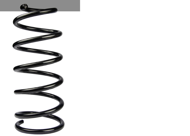 Muelle de suspensión trasero Raiso SR224TP precio, desde 70,50 EUR