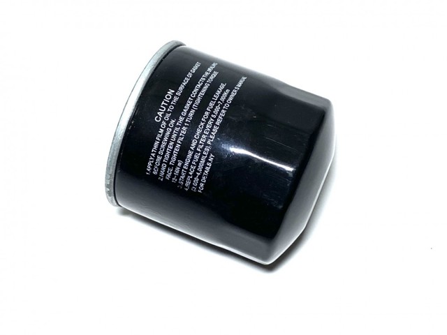 Comprar 1105103P00 Great Wall Filtro diesel