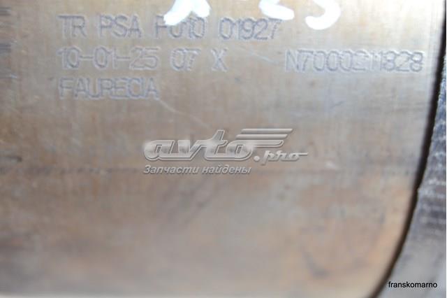 Filtro hollín Peugeot/Citroen 1608395980 precio, desde 702,29 EUR