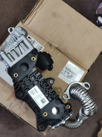 Enfriador de recirculación de gases de escape EGR Peugeot/Citroen 1679828380