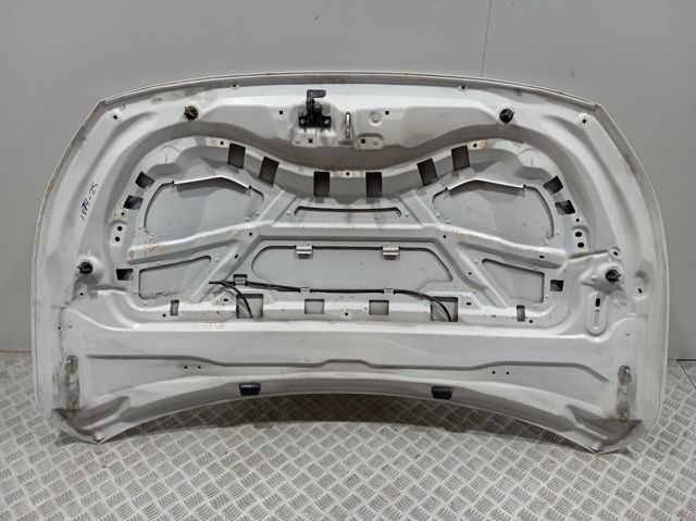 Comprar 9827576880 Peugeot/Citroen Capó