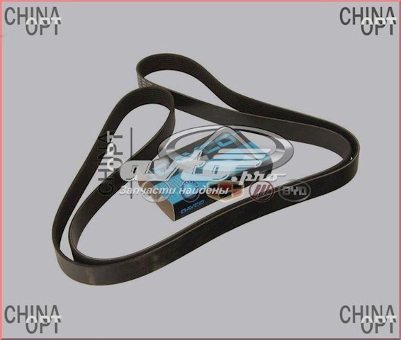 Correa de alternador A113701315BA Dayco