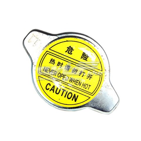 S1301150 Lifan Tapa de radiador