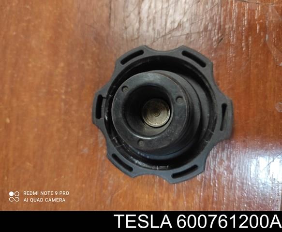 600761200A Tesla Motors