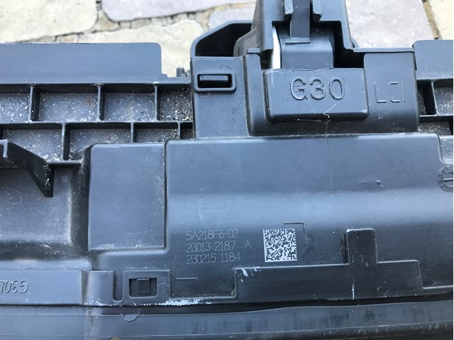51749464208 BMW Persiana del radiador