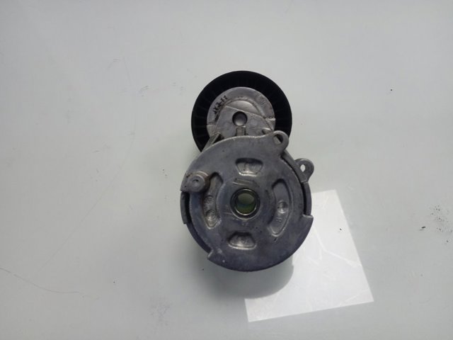 Tensor de correa poli V 55244469 Fiat/Alfa/Lancia