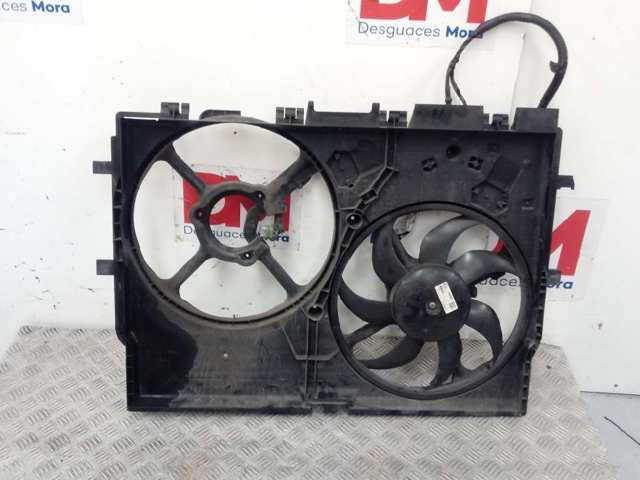  1379297080 Peugeot/Citroen