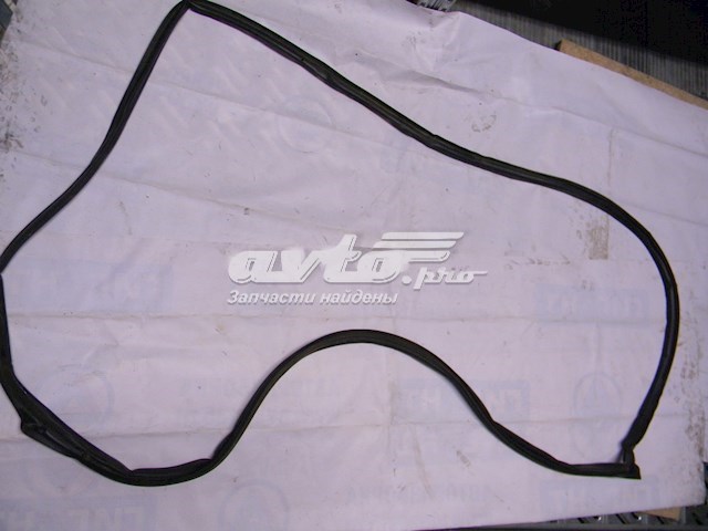Junta de puerta delantera derecha (en puerta) Nissan Teana (J31)