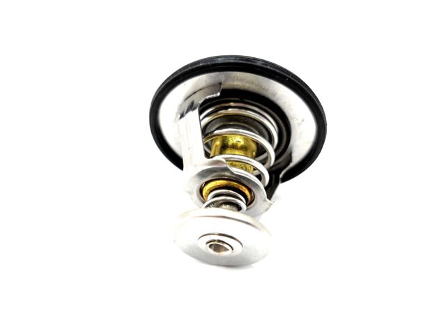 471Q1306950 BYD Termostato de agua