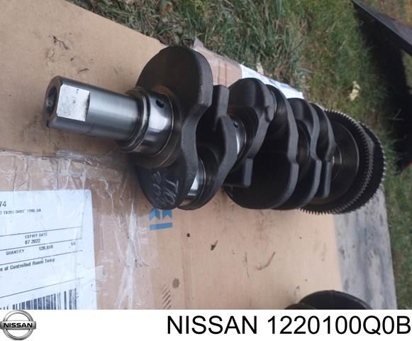 1220100Q0B Nissan