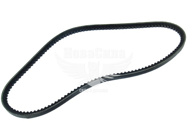 Correa de transmisión trapezoidal Dayco 10A0813C precio, desde 8,16 EUR