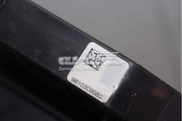 9810309580 Peugeot/Citroen Cerradura de puerta