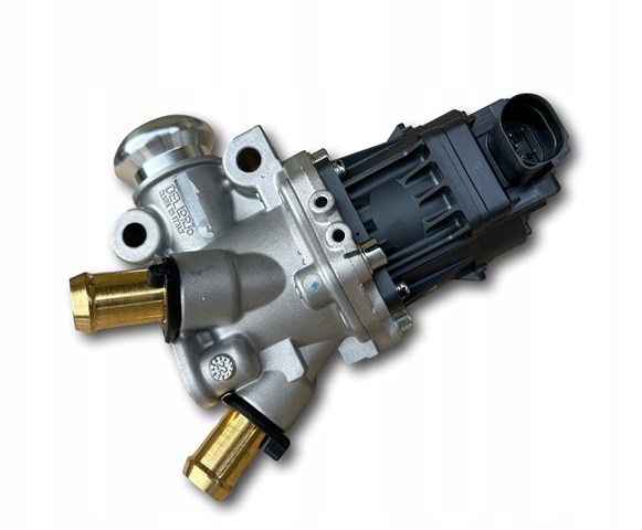 Comprar 5802061033 Fiat/Alfa/Lancia Válvula EGR