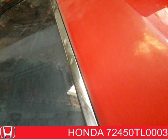 Moldura de puerta delantera izquierda para Honda Accord (CW)