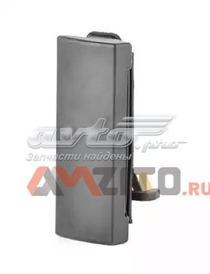 Tirador de puerta de maletero exterior BSG30970022 BSG