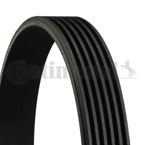 6PK2433 Continental/Siemens Correa poly v