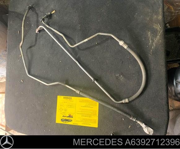 A6392712396 Mercedes