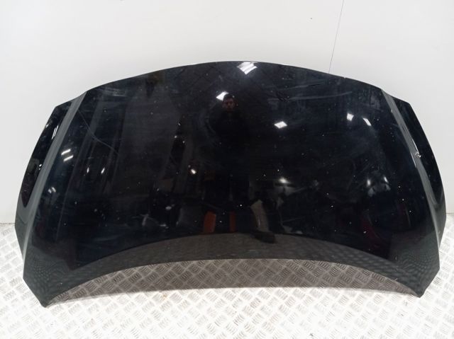 Capó del motor Nissan/Infiniti 651005FA0J precio, desde 580,56 EUR