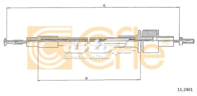 11.2481 Cofle cable de embrague