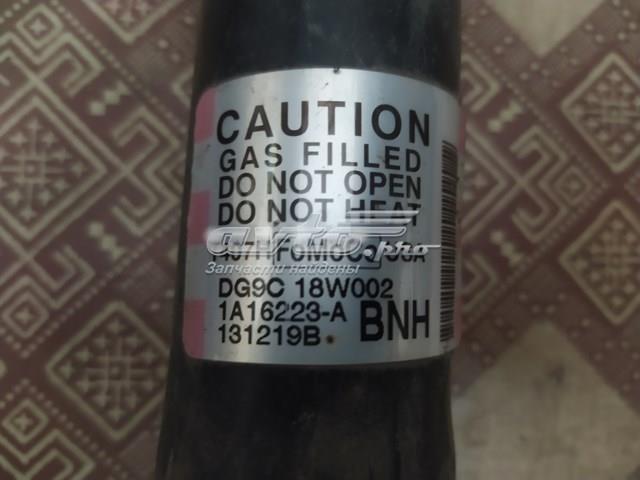 DG9C18W002 Ford 