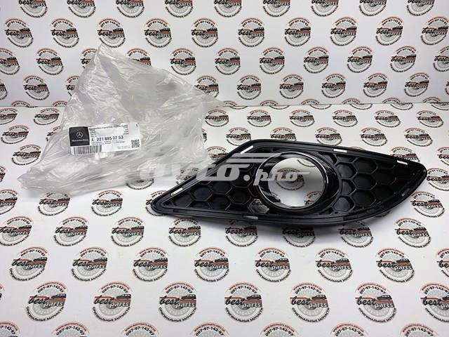 Tapa de rejilla de faro antiniebla delantero derecho A2218850253 Mercedes