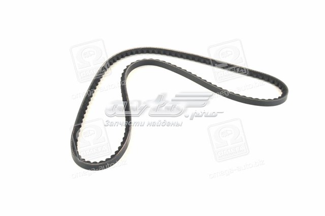 Correa de alternador 10A1085C Dayco