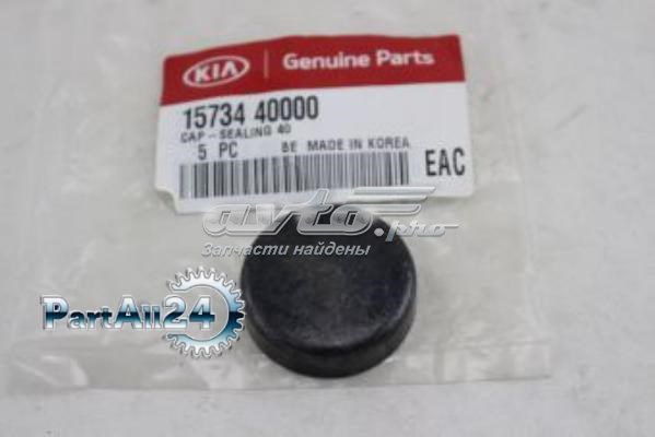 Tapa de cilindro Hyundai/Kia 1573440000 precio, desde 4,69 EUR