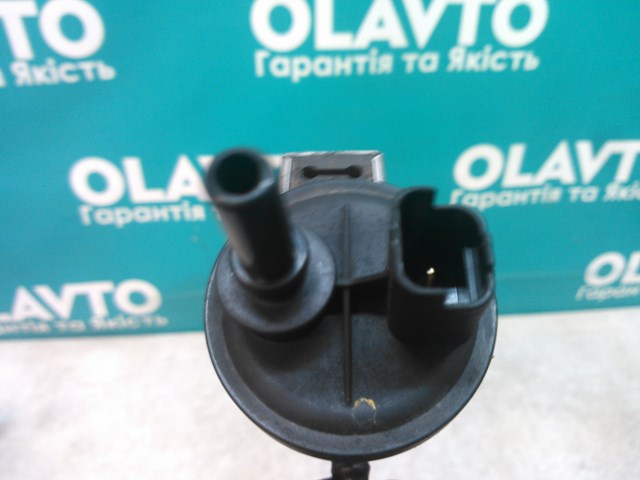 Válvula de purga de vapores de combustible Renault (RVI) 2580119A precio, desde 31,94 EUR
