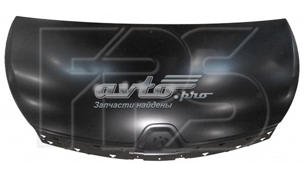 Capot FPS FP5642280