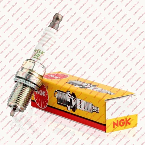 Comprar 1023782800 BYD Bujía de encendido