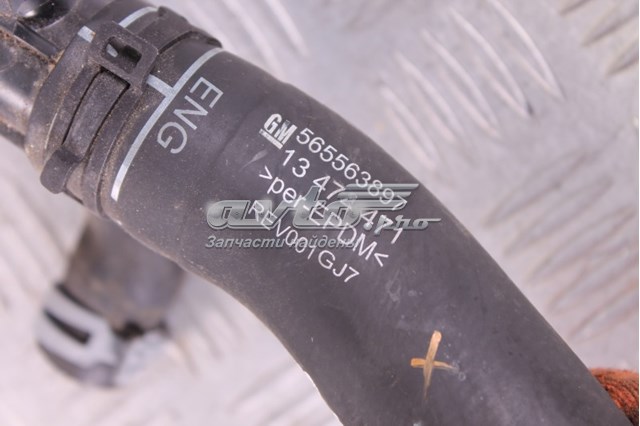 Manguera de admisión de la bomba de agua 565563897 General Motors
