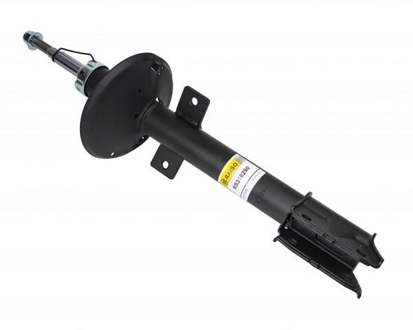 Amortiguadores traseros Raiso RS316290
