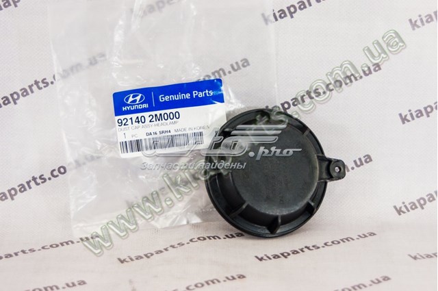 Cubierta Del Faro para Hyundai Santa Fe (DM)